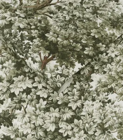 Vliesbehang Coppice Sage