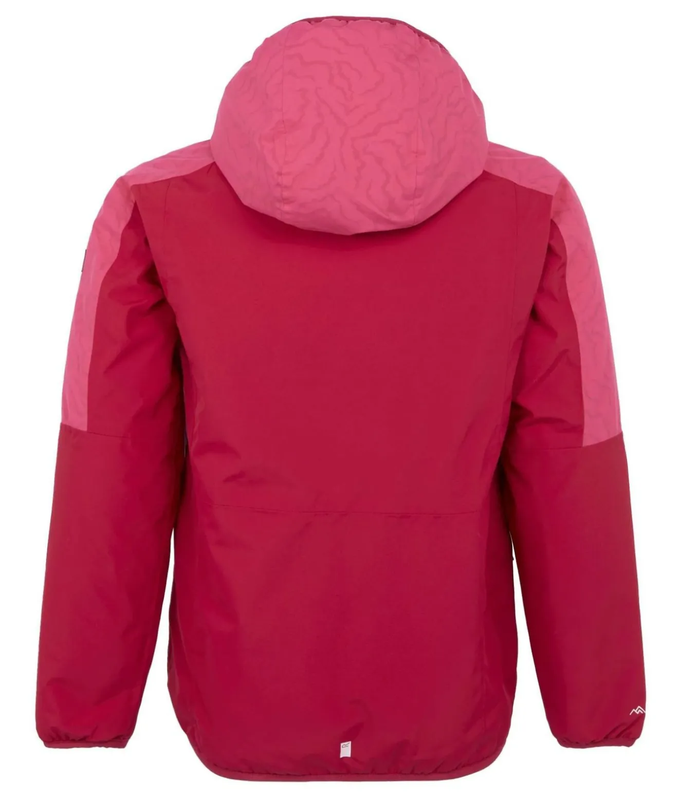 VOLCANICS VIII - Jasje - Zalmroze