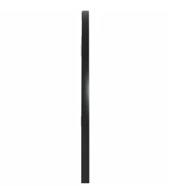 Wandspiegel boog 60x30 cm ijzer zwart