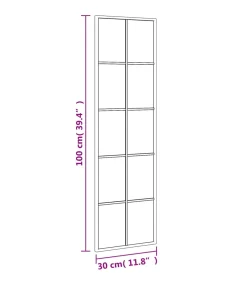 Wandspiegel rechthoekig 30x100 cm ijzer zwart