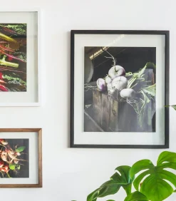 WINDOW Fotokader 50x60