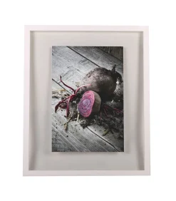 WINDOW Fotokader 50x60