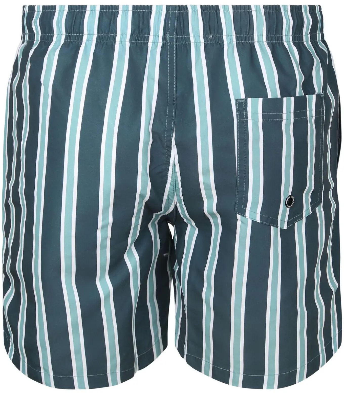 Zwembroek Stripe Groen